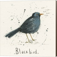 Crna ptica Michelle Campbell, Umjetnost platnenog zida