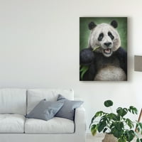 Zaštitni znak likovne umjetnosti' Panda Totem ' platnena Umjetnost Patricka Lamontagnea