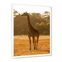 Designart 'Afrička žirafa u farmi Wildlife II' uokvirena umjetnička štampa