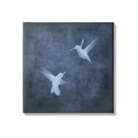 Stupell Sažetak Plave kolingbirde Silhouetes Životinje i insekti Palika Galerija zamotana platna Print