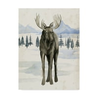 Zaštitni znak likovne umjetnosti 'Alaskan Wilderness I' platno Art Grace Popp