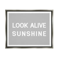 Stupell Industries izgledaju živog sunca Jednostavno sivo inspirativno slikanje Sivo ploča Framed Art