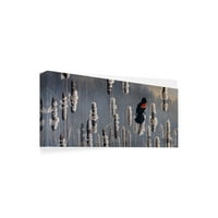 Zaštitni znak likovne umjetnosti 'Marsh Notes Red Wing Blackbird' platnena Umjetnost Wilhelma Goebela