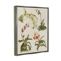 Stupell Vintage latino Studijsko cvijeće Priroda Botanička i cvjetna slika Siva ploča Framed Art Print Wall Art
