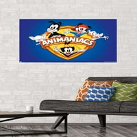 Animaniacs - Shield zidni poster, 22.375 34